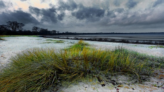 Strandgras in einer Ostsee-Bucht © NDR Foto: Helmut Kuzina aus Wismar