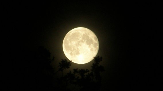 Vollmond am Nachthimmel © NDR Foto: Brunhild Hering aus Kraak