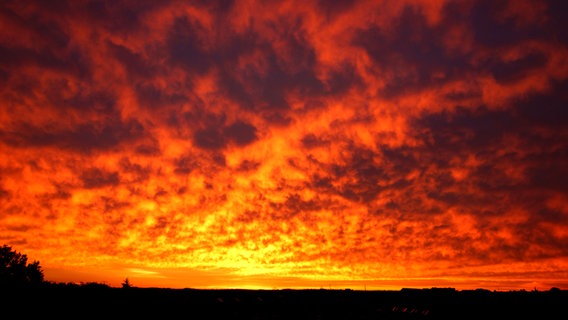 Morgenrot über Schwerin © NDR Foto: Werner Schulz aus Schwerin