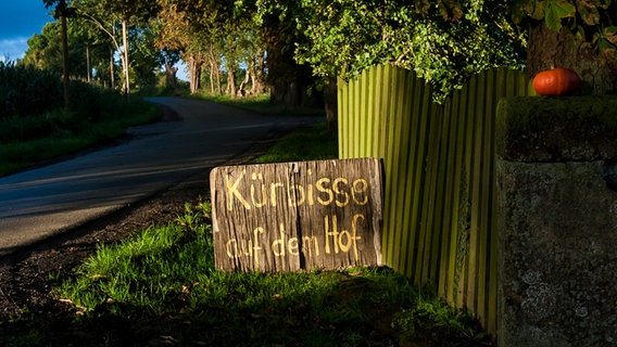 Ein Schild vor einem Bauernhof preist Kürbisse an. © NDR Foto: Michael Weise aus Damshagen