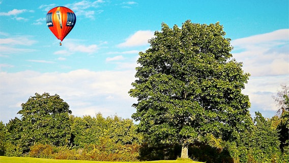 Heißluftballon über einem Waldstück. © NDR Foto: Arnold Prosch aus Schwerin