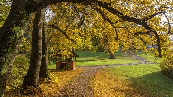 Parkanlage im Herbst © NDR Foto: Jürgen Evert aus Güstrow