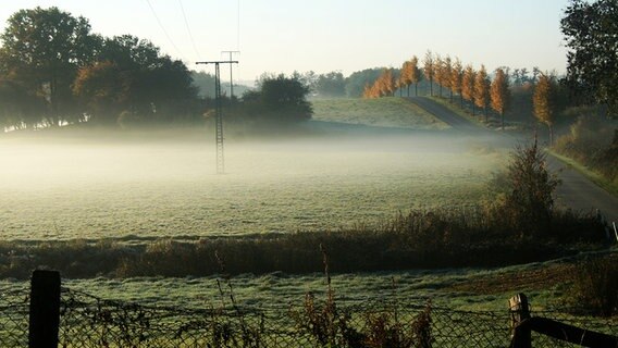 Nebel über einer Wiese © NDR Foto: Renate Reinbothe aus Thurow