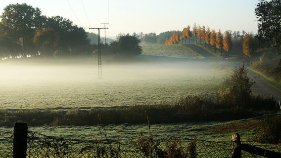 Nebel über einer Wiese © NDR Foto: Renate Reinbothe aus Thurow