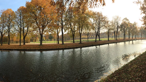 Schlossgarten in Schwerin im Herbst © NDR Foto: Daniela Stiewe aus Schwerin
