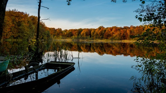 See ist umgeben von Bäumen mit Herbstlaub © NDR Foto: Michael Flau aus Schwerin