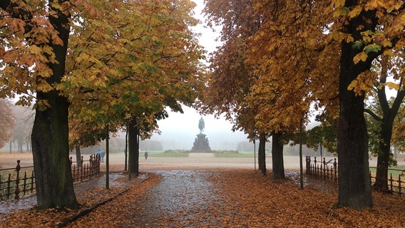 Eine Statue am Ende einer herbstlichen Allee © NDR Foto: Jürgen Lorenz aus Stralsund