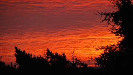 Feuerroter Sonnenaufgang © NDR Foto: Kurt Zabel aus Friedrichsruhe