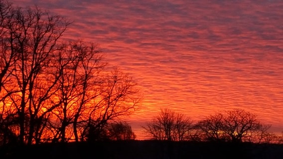 Feuerroter Sonnenaufgang © NDR Foto: Yvonn Schumacher aus Cambs