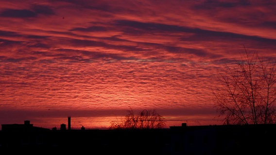 Sonnenaufgang über Schwerin © NDR Foto: Anna-Lena Wittenberg aus Schwerin