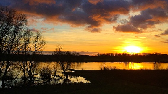 Sonnenuntergang an der Elbe. © NDR Foto: Christiane Hoffmann aus Alt Brenz