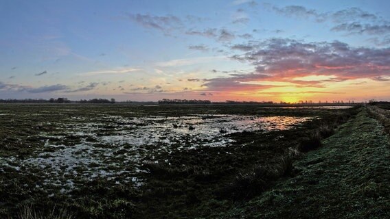 Die Sonne geht über einem Feld auf, das von Rauhreif bedeckt ist. © NDR Foto: Uwe Meyer aus Lübtheen