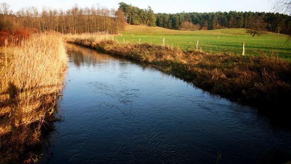 Warnow bei Alt Necheln © NDR Foto: Renate Reinbothe aus Thurow