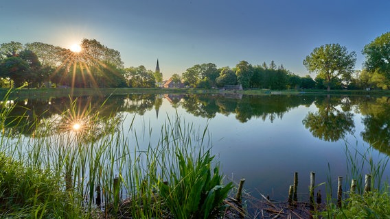 Morgenstille am Friedländer Mühlenteich © NDR Foto: Detlef Meier aus Ducherow