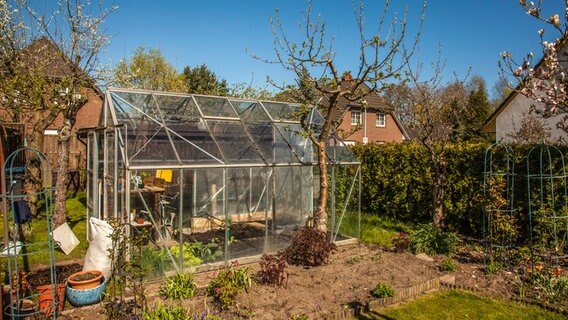 Ein Gewächshaus steht in einem Garten.  Foto: Udo Tanske