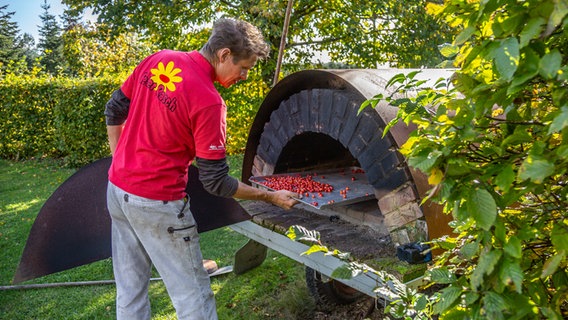 Peter Rasch schiebt ein Blech mit Hagebutten in einen Pizza-Ofen.  Foto: Udo Tanske