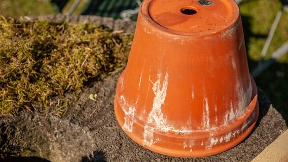 Ein umgedrehter Blumentopf aus Terrakotta. © NDR Foto: Udo Tanske