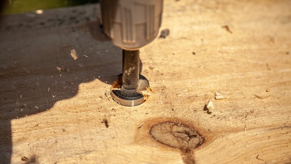 Mit einem Bohrer wird ein Loch ins Holz gebohrt. © NDR Foto: Udo Tanske