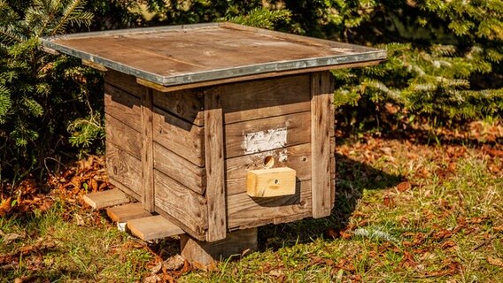 Ein selbst gebauter Hummelkasten aus Holz. © NDR Foto: Udo Tanske