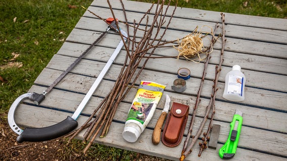 Werkzeug, das man zur Baumveredelung braucht, liegt auf einem Gartentisch.  Foto: Udo Tanske