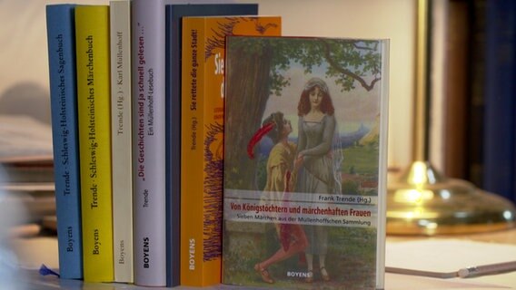 Einige Bücher von Karl Müllenhoff stehen in einer Reihe. © NDR Foto: Screenshot, SHMag