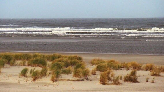 Der Strand von Norderney. © NDR 