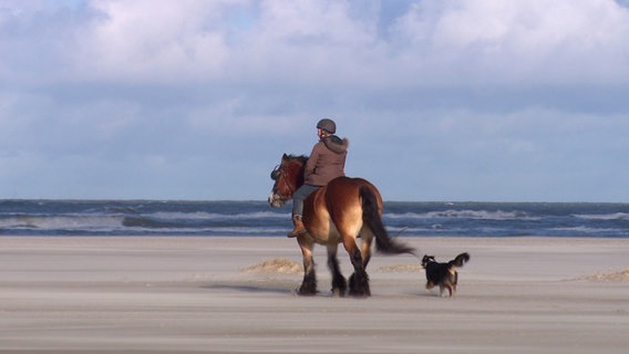 Salzige Seeluft im Gesicht und den Strand für sich alleine. © NDR 