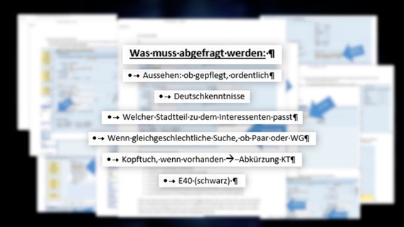 Abfrageanweisungen und Kürzel bei Brebau Abfrageanweisungen und Kürzel bei Brebau © NDR /ARD Foto: Screenshot