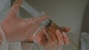 Hand an einer Spritze © Screenshot 