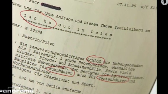 Deutsche kaufen sich illegal in Polen ein  