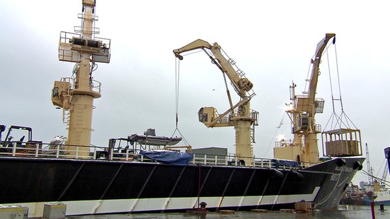 Schiff im Hafen von IJmuiden © NDR Foto: Screenshot