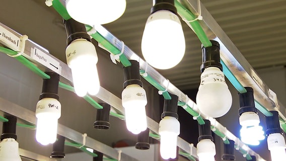 Verschiedene Arten von Energiesparlampen hängen an einer Decke. © NDR 