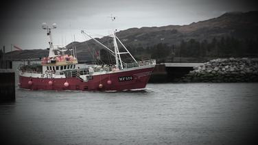 Das Fischereischiff Ortegal Tres läuft in einen irischen Hafen ein. © NDR 