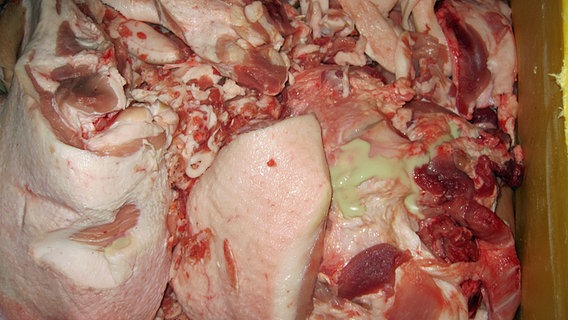 Ekelfleisch im Kühlhaus: Rechts ist gelblicher, ausgetretener Eiter zu sehen. © NDR 