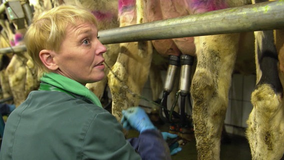Landwirtin Frauke Bielefeld, im Hintergrund die Beine mehrerer Kühe. Landwirtin Frauke Bielefeld, im Hintergrund die Beine mehrerer Kühe. © NDR Foto: Screenshot