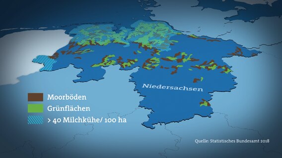 Die meisten entwässerten Moorböden in Norddeutschland werden für die Milchproduktion genutzt. © NDR 