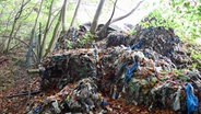 Ein Müllberg liegt im Wald bei Barnekow. © NDR Foto: Screenshot