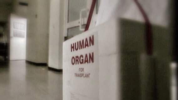 Transportbox mit der Aufschrift "Human Organ for Transplant" © NDR 