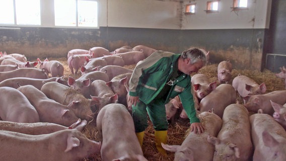 Der Bauer Torsten Roders steht in seinem Schweinestall. © NDR 
