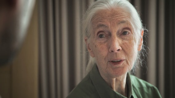 Jane Goodall © NDR Foto: Screenshot
