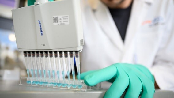 Ein Mann pipettiert in einem Labor des biopharmazeutischen Unternehmens Curevac eine blaue Flüssigkeit. © dpa Foto: Sebastian Gollnow