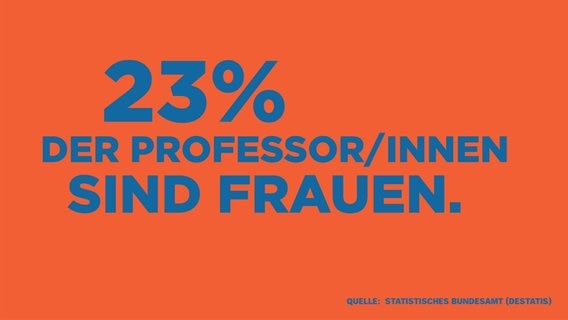Grafik Professorinnen © NDR Foto: Screenshot