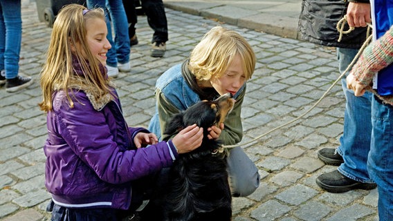 Kinder streicheln Hund © NDR Foto: Claudia Timmann