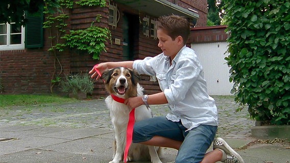 Laurenz (Tim Tiedemann) bindet dem Hund "Feline" eine Schleife um © NDR Foto: Screenshot