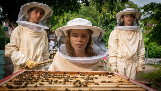 Pippa sieht sich den Bienenstock genauer an. © NDR/Letterbox Foto: Boris Laewen