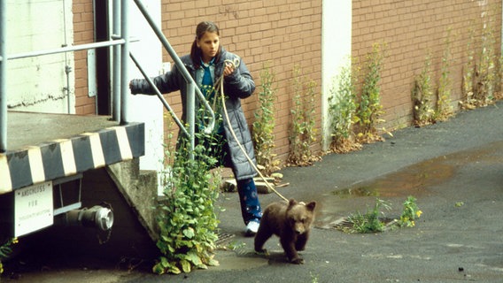 Jana rettet den kleinen Bären © NDR 