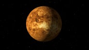 Planet Venus © fotolia Foto: magann