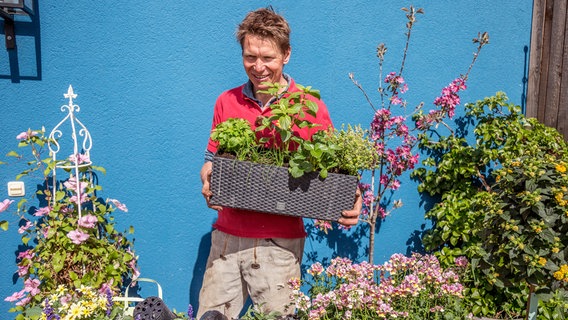 Gärtner Peter rasch trägt einen bepflanzten Blumenkasten. © NDR/Udo Tanske 