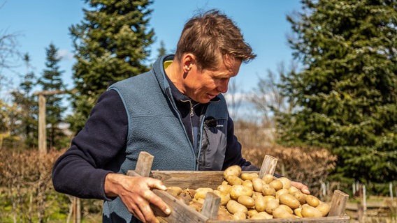 Die Kartoffeln müssen jetzt ins Beet. © NDR/Udo Tanske 