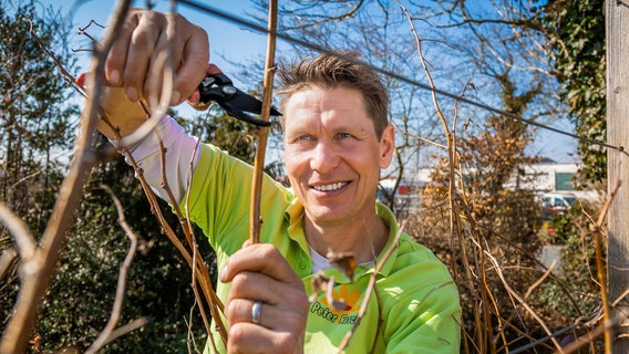 Peter Rasch. © NDR/Udo Tanske 